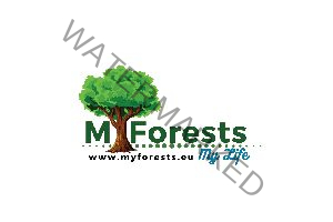 MyForests
